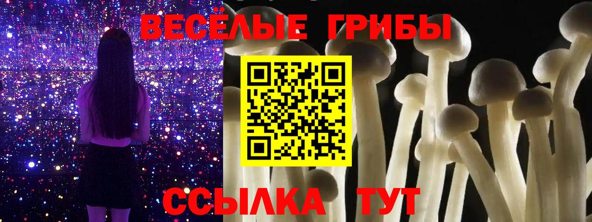 Галлюциногенные грибы Magic Shrooms Комсомольск-на-Амуре